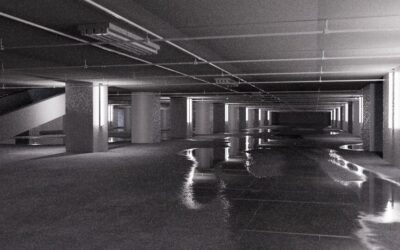 Level 1
