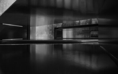 Level 6